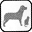 ANIMAUX ADMIS